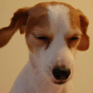 Meet your Posher, Keumji